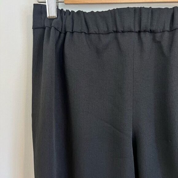 Aritzia Babaton Cohen Black Dress Pants Pleated Trousers Pockets Elastic Waist 2 - Picture 9 of 11